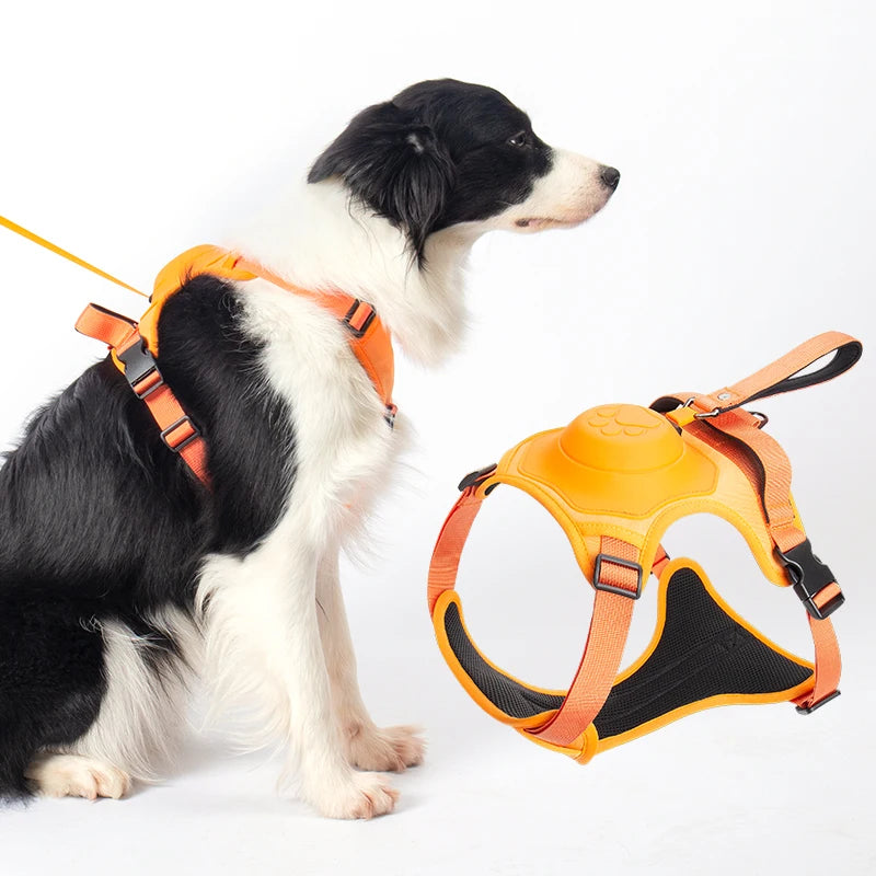 EasyWalk Retractable Dog Harness