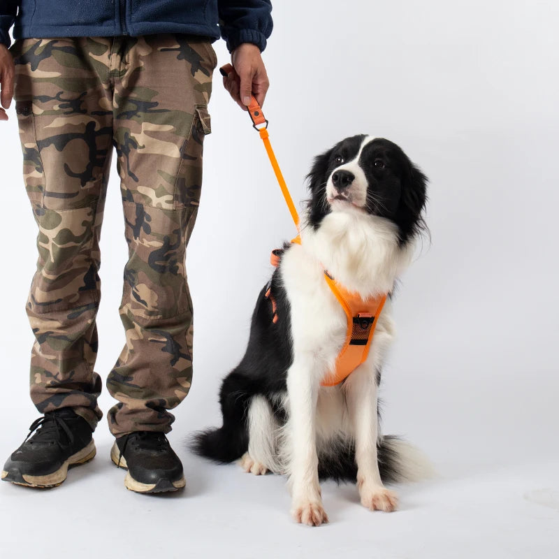 EasyWalk Retractable Dog Harness