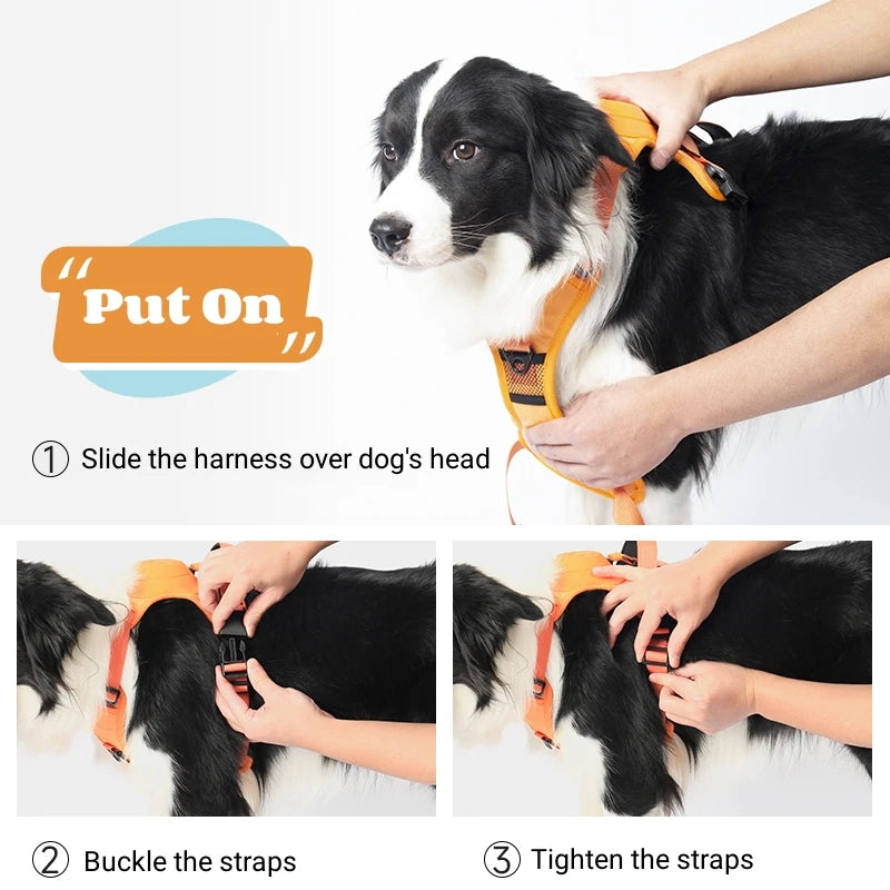 EasyWalk Retractable Dog Harness